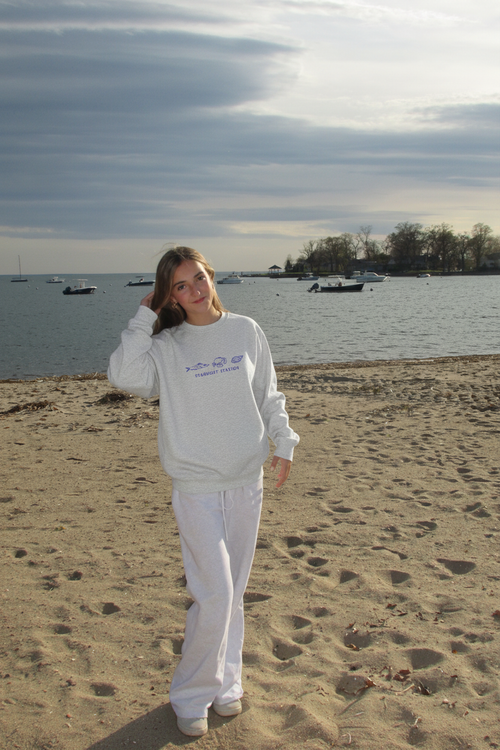 Salt & Stitch Crewneck Lifestyle